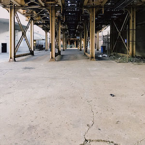 Meet your Posher, Shane